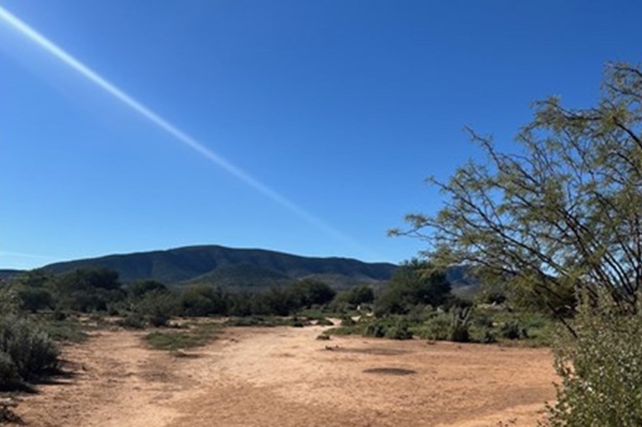 0 Bedroom Property for Sale in Steytlerville Eastern Cape